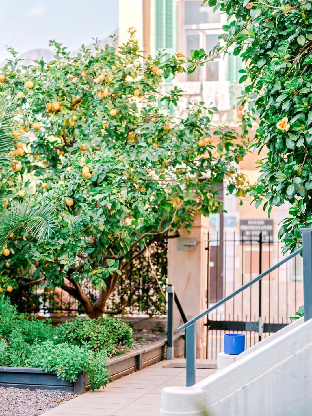 Hotel Lemon Menton Ngoại thất bức ảnh