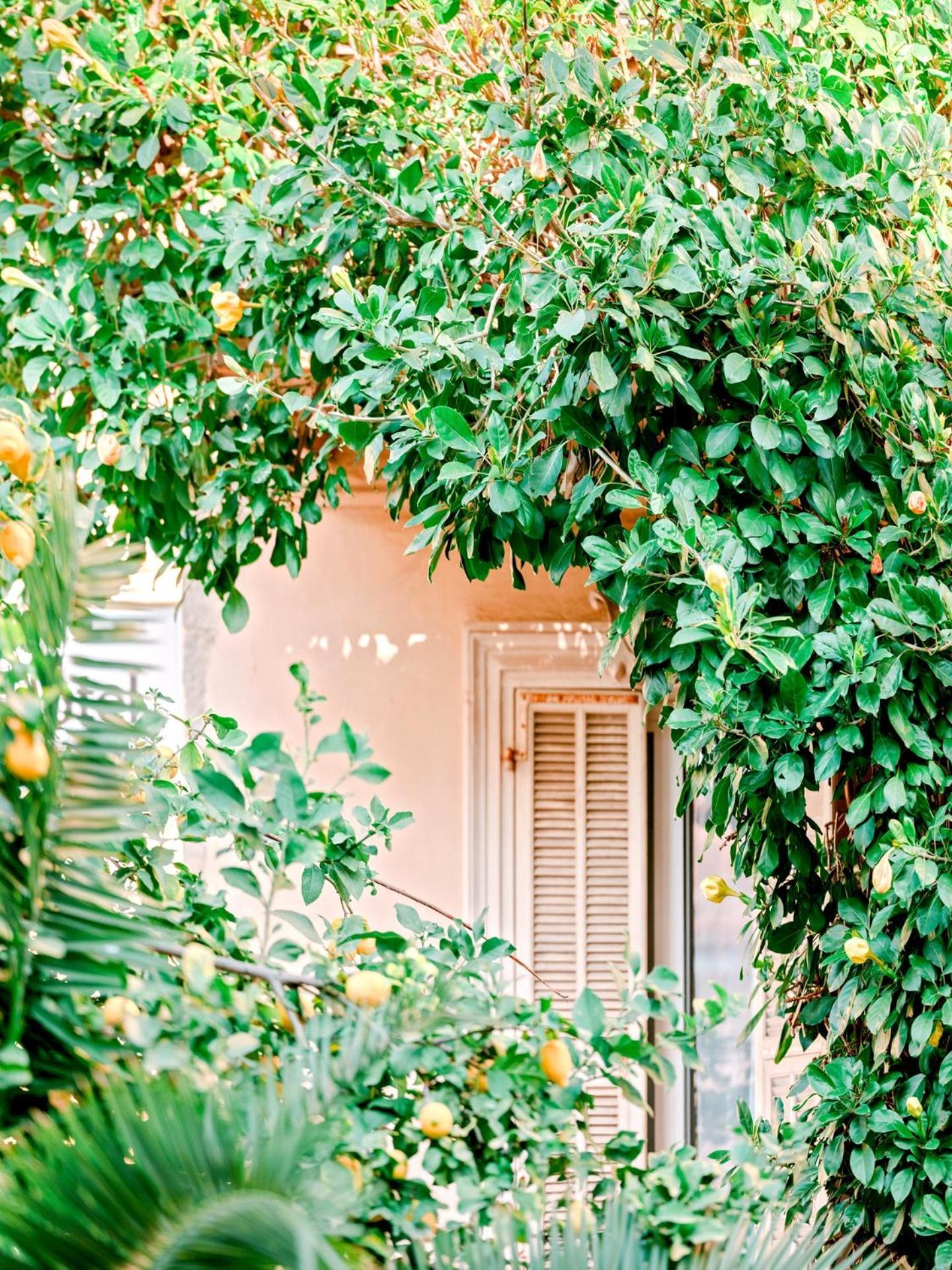 Hotel Lemon Menton Ngoại thất bức ảnh